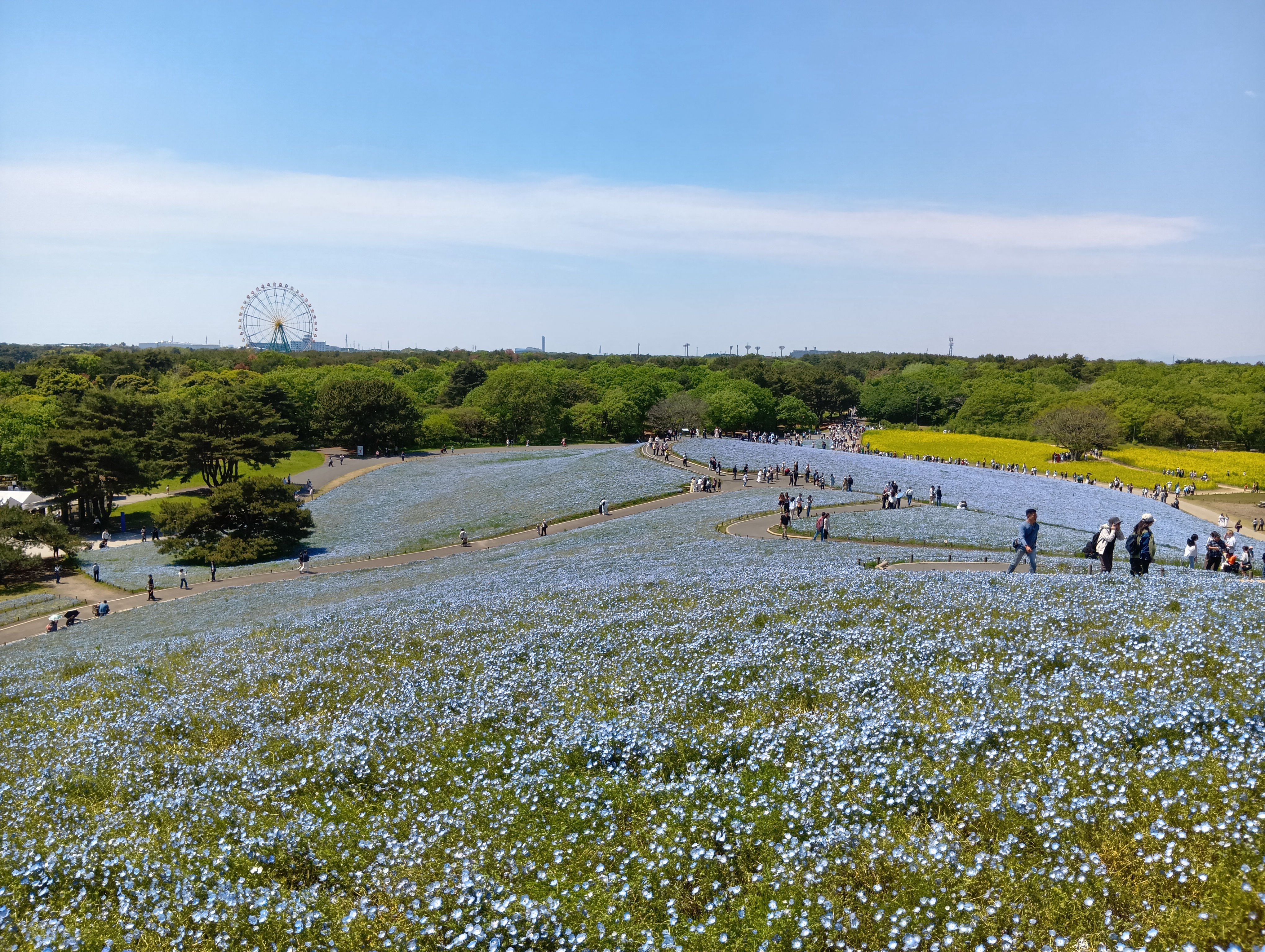 Hitachi Seaside Park